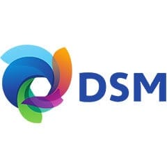 DSM 240 240 DSM